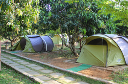 Dandeli Jungle Camp-stay Wild