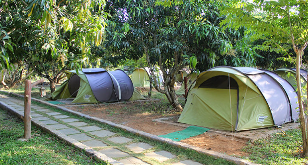 Dandeli Jungle Camp-stay Wild