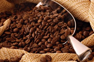 Arabica Coffee