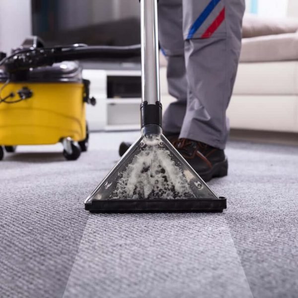 Carpet Cleaners 5 Reasons Why We Need The Professionals