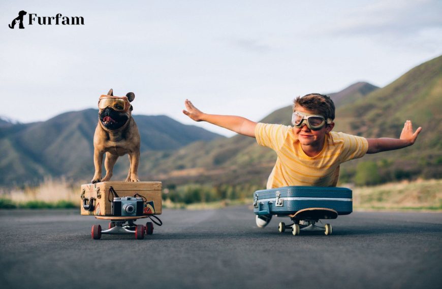 6 Places To Go With Your Dog In India