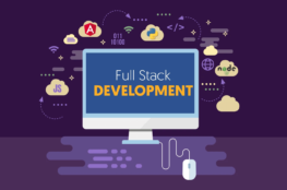 full-stack development