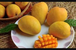 Supreme Benefits of Mango