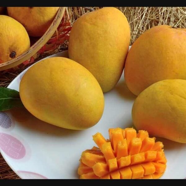 Supreme Benefits of Mango